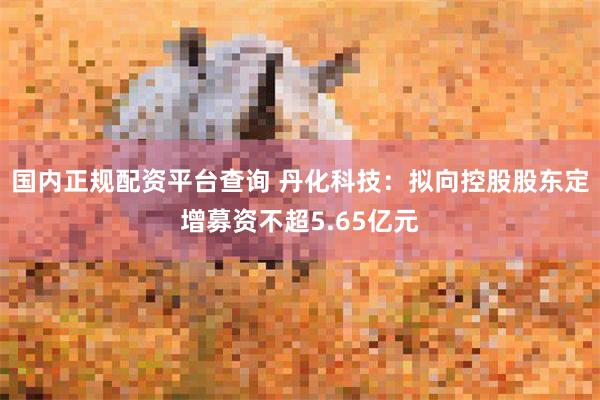 国内正规配资平台查询 丹化科技：拟向控股股东定增募资不超5.65亿元