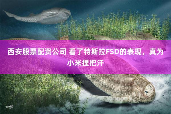 西安股票配资公司 看了特斯拉FSD的表现，真为小米捏把汗