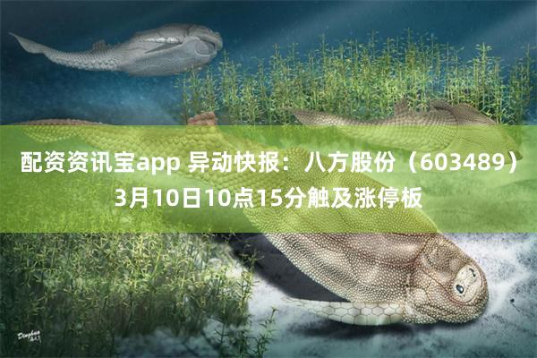 配资资讯宝app 异动快报：八方股份（603489）3月10日10点15分触及涨停板