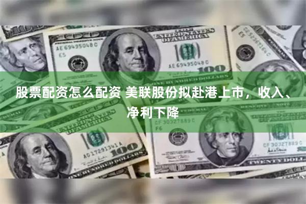 股票配资怎么配资 美联股份拟赴港上市，收入、净利下降