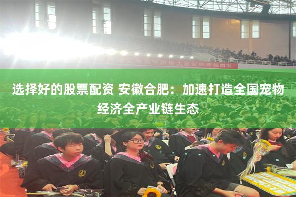 选择好的股票配资 安徽合肥：加速打造全国宠物经济全产业链生态
