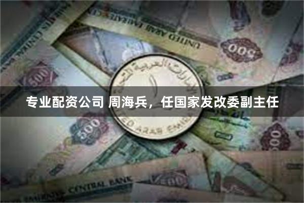 专业配资公司 周海兵，任国家发改委副主任